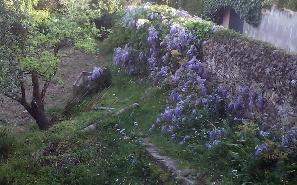 B&B Costa Lupara - Villa Murchio Αλάσιο Εξωτερικό φωτογραφία